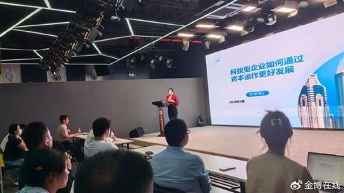 科技型企業(yè)如何通過資本運作實現(xiàn)高質(zhì)量發(fā)展——以網(wǎng)絡(luò)科技技術(shù)開發(fā)與運營為例